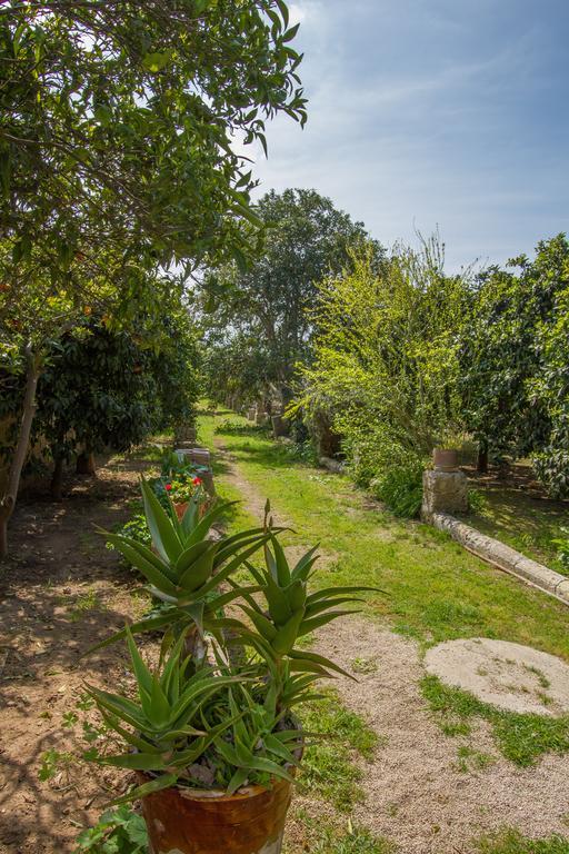 B&B Villa Spada Donadeo 레퀼레 외부 사진